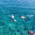 image6 image6